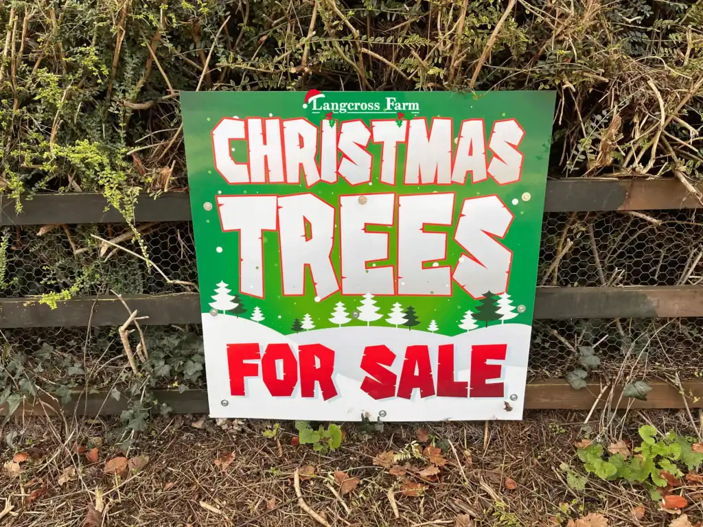 Christmas trees for sale at Langcross Farm, featuring festive holiday tree display, on a wooden fence.