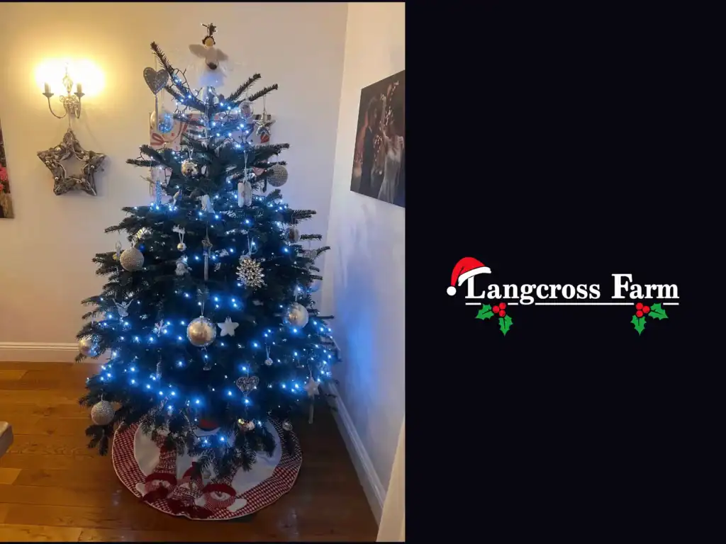 Decorated Christmas tree with blue lights and silver ornaments at Langcross Farm, celebrating festive season.