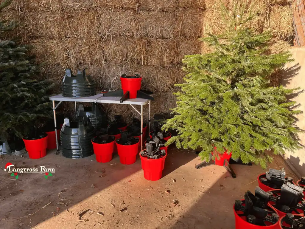 Garden Christmas tree with planting tools and decorations at Langcross Farm, a rural farm in the UK.